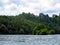 The protected forest in the middle of Riam Kanan lake, Borneo