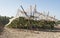 Protected Grape Vines in a Vineyard at Lachish Israel