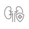 Protected kidneys line icon. First aid for organ for filtering blood symbol