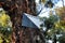 Protected nature reserve area sign on damaged bark texture