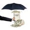 Protecting government budget with umbrella