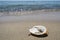 Protective virus mask garbage trash on sandy sea shore,coronavirus covid pollution disease