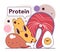 Protein containing products. Biomolecules and macromolecules for