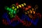 Protein and DNA Molecule Structure