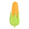 Protein nutrient corn icon, cartoon style