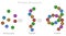 Protein structure, amino acid, peptide chain, polypeptide. DNA formation, protein compound digestion. Bonds. illustration Vector