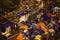 Protesters occupying Harcourt Road overnight with tents in Admiralty, Hong Kong