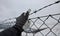 Protesting man in gray tactical gloves overcome a barbed wire fence and get behind a wire fence. showing fingers on hand a sign of