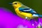 Prothonotary Warbler in Spring. Generative AI