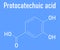 Protocatechuic acid PCA green tea antioxidant molecule. Skeletal formula.