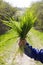 Proud child hand showing bunch of grass for earth power