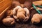 Proud farmer holding harvested organic potato tuber in hands