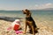 Proud hunt dog portrait wearing sunglasses on the beach.