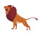 Proud powerful lion character. King of animal. Cartoon cute wild cat growls. Isolated vector Illustrations on a white