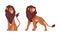 Proud Powerful Lion Mammal with Prominent Mane and Hairy Tuft on Its Tail Vector Set