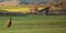 Proud Rhodesian Ridgeback dog is sitting in a beautiful landscape in a rural area