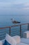 Proud seagull walking on empty cafe terrace