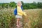 Proud Ukrainian little girl stands on field of mature buckwheat in a yellow-blue flag. day of Ukraine& x27;s insability. Selective