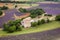 Provencal farm near Sault, Provence, France