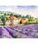 Provencal landscape, lavender blooming field, french village, watercolor illustration,