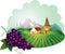 Provence background with grape