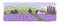 Provence banner with fields of blooming lavender, vector illustration isolated.