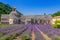 Provence, France. Blooming purple lavender fields at Senanque monastery.