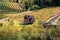 Provence France. Golden field of vines with disused farmhouse in the middle