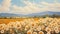 Provence Morning: Realist Landscape Painting Of Blooming Field Of Daisies