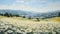 Provence Morning: A Stunning Daisy Field By Tuscan Artists