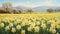 Provence Morning: A Stunning Painting Of Daffodils Near Mountains
