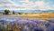 Provence Morning: Vibrant Oil Painting Of Lavender Fields And Mountains