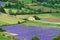 Provence rural landscape