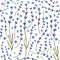 Provence seamless lavender vector pattern.