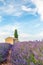 Provence, Valensole Plateau