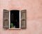 Provence window with shutters and basil plant