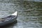 Prow of a canoe on the water with small glittering waves