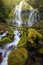 Proxy falls and mossy logs in Oregon