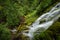 Proxy falls, Oregon