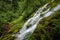 Proxy falls, Oregon