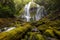 Proxy falls in oregon rain forest.