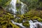 Proxy Falls trail in Oregon national forest