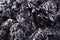 Prune close up background. Heap of glossy black prunes.