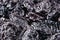 Prune close up background. Heap of glossy black prunes.