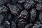 Prune close up background. Heap of glossy black prunes.