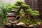 pruned bonsai with a traditional japanese garden backdrop