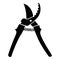 Pruner icon, simple black style