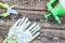 Pruner, pressure sprayer and garden gloves on wooden board