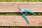 Pruner on wood board