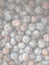 Prunes picture, soft faded tone background